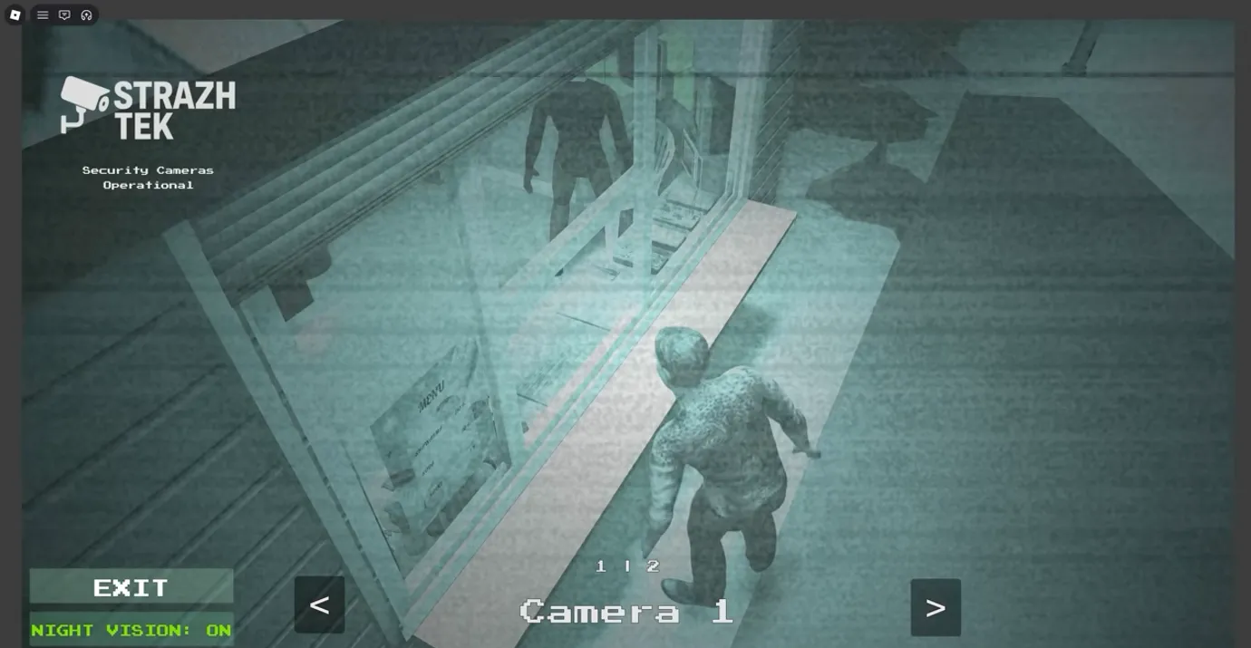 Black Holes anomaly - strange black holes visible on customer's back on camera