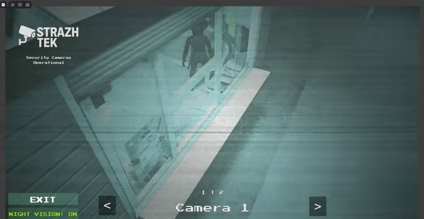 Nightvision Missing anomaly - customer completely disappears in night vision mode